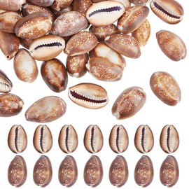 PH PandaHall Pack of 50 Natural Serpent's Head Cowrie Shells, 25 mm Brown Ocean Beach Shells, Small Craft Shell Ornament for DIY Craft, Summer Party, Table Costume, Fish Tank Decoration, 250 g
