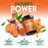 Turmeric Curcumin Supplement 2000mg - Nature's Joint & Immune Support,