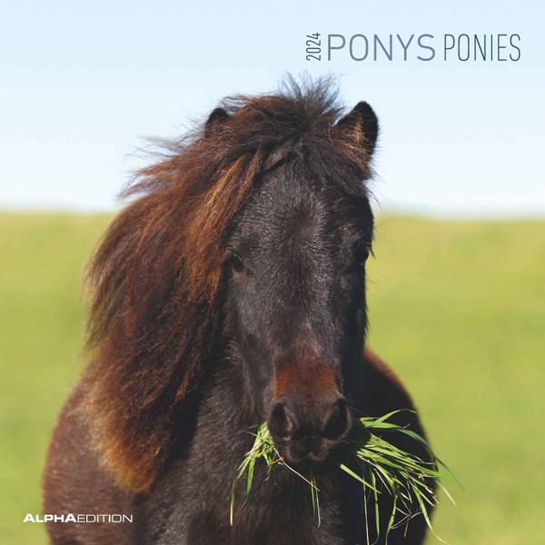 Ponys 2024 - Brochure Calendar 30 x 30 cm (30