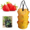 Qhinaster 3 pcs Hanging Planter Bag with Handles, Plastic Hanging
