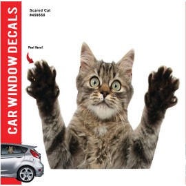 Aahs Engraving Animal Decals Car Stickers Funny Left Window Peel Off (Scared Cat)