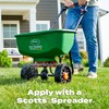 Scotts Turf Builder Lawn Food - Fertilizer for All Grass