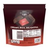 HERSHEY'S NUGGETS Dark Chocolate Truffles, Candy Share Pack, 7.7 oz