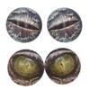10 Pairs 16mm Glow in The Dark Glass Dinosaur Eyes