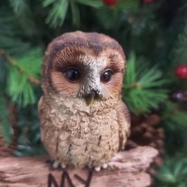 Vivid Arts My Garden Sign Tawny Owl | Resin Home or Garden Decoration | MG-TWNY-F