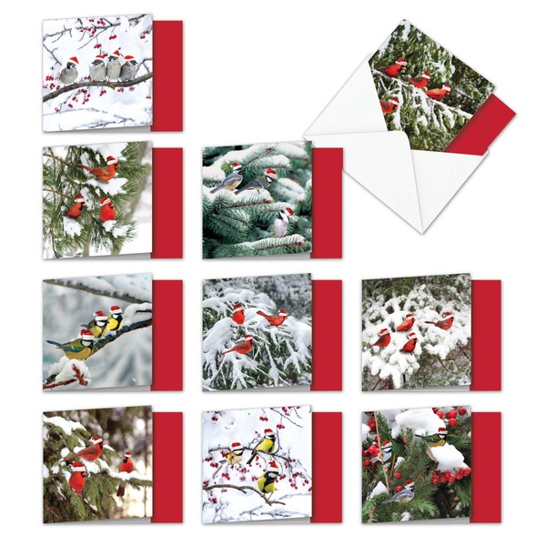 The Best Card Company - 10 Holiday Note Cards for Christmas - Festive Bulk Assortment, Boxed Notecards with Envelopes (4 x 5.12 Inch) - Christmas for the Birds MQ5030XSG-B1x10