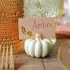 Kate Aspen 12pcs Fall Decor Green Pumpkin Place Card Holder,