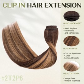 S-noilite 14 Inch Balayage Clip in Hair Extensions 100% Human Hair 8Pcs Normal Weft Full Head Dark Brown to Light linen Mix Dark Brown Clip in Hair Extension for Women(60g,#2T2P6)