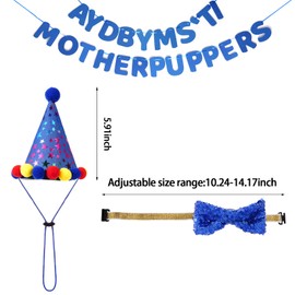 Dog Birthday Accessories Set, Including Dog Birthday Bandana Bow, Dog Birthday Party Supplies for Large Dog