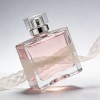 100ML Perfumes From Around the Globe, US Local Stock, Bulk