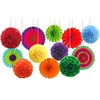 Pack of 12 Colourful Tissue Paper Pompoms and Hanging Paper