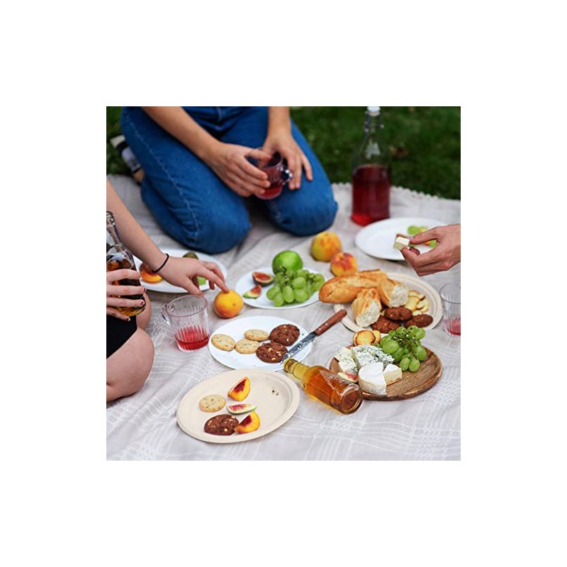 Vplus 500 Pack Paper Plates 9 inch 100% Compostable, Heavy-Duty