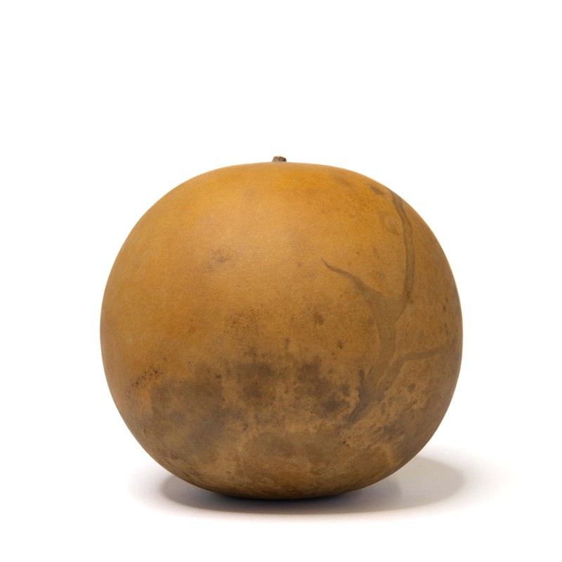Box of 3 Dried Cannonball Gourds - 5" Diameter, Ready