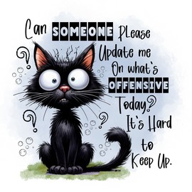 Unbranded What's Offensive, 20oz Tumbler, Hot/Cold, Straw, Stainless, Leak Proof (#675)