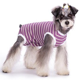 Dog Surgical Recovery Suit, Spay Recovery Suit for Dogs Cats, Post Surgery Dog Onesie for Male Female, Soft Comfortable & Breathable (Purple Stripe-M)