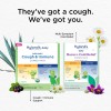 Hyland's Baby Organic Cough Immune Support Day Night Combo Pack