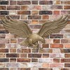 Whitehall Products Antique Brass Wall Eagle 00755, 36 inches wide