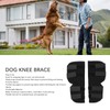 Leg Brace, Dog Canine Rear Leg Hock Brace, Joint Compression
