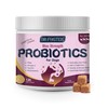 DRFOSTER Probiotics for Dogs, Dog Probiotics for Digestive Health, 6