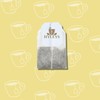 Hyleys Moringa Oleifera and Green Tea Turmeric Flavor - 25