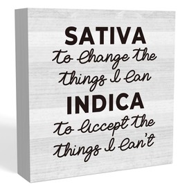 Positive Home Office Desk Decor Rustic Wood Box Sign Farmhouse Shelf Cubicle Accessories Decor Gifts for Coworkers Sativa to Change The Things I Can 5 X 5 Inch