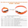 Quick Snap Bungee Dog Collar Strap with D Ring for
