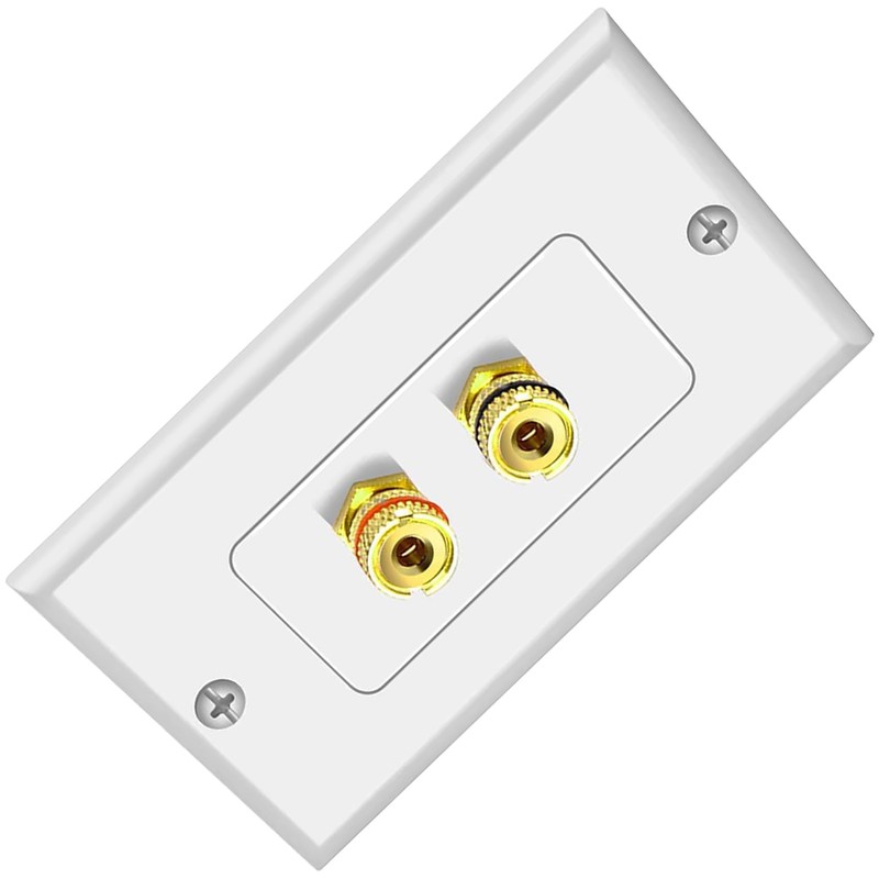 Tunghey 2Pack Gold Plated Speaker Wall Plate, Banana Plug for