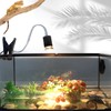 DERNORD Reptile Heat Lamp Turtles Halogen UV Lamp Tortoise with