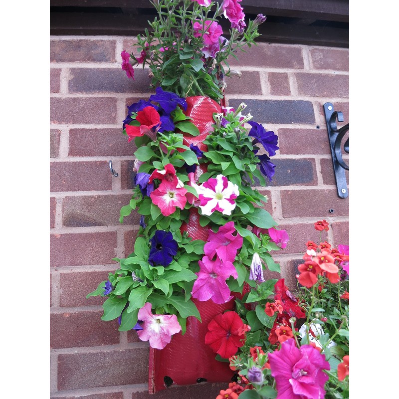 Bowry's Red Hanging Strawberry Flower Bag Planters - Pack of