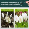 32oz Peace Lily Plant Indoor Live Fertilizer - Makes 192