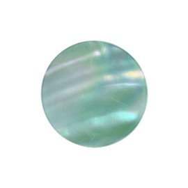 Quiges Interchangeable Coin 25 mm Natural Shell Coin Pendant, Shell, Shell