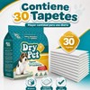 Dry Pet Tapete Entrenador para Perro de 30 Piezas