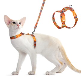 Dooradar Cat Harness and Leash, Escape Proof Adjustable Kitten Harness, Lightweight Soft Pet Harness, Easy Wearing for Small Medium Cats Safe Walking Travel Control, Orange & Black, S