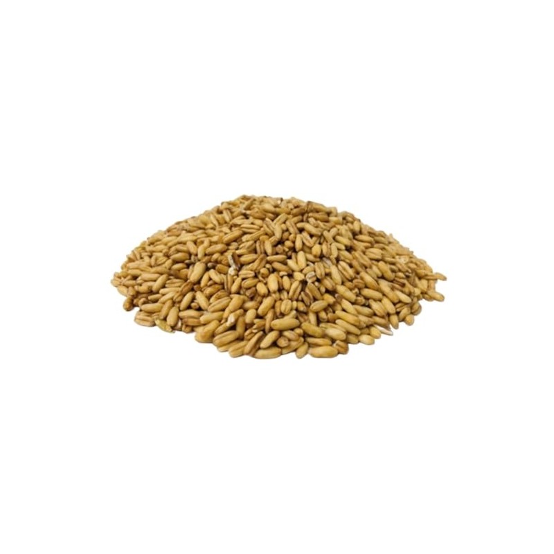 BONGIOVANNI FARINE E BONTA' NATURALI Avena Decorticata Bio - 500g