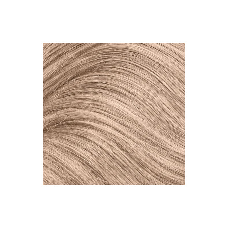 HL B Hi Lift Ash Blonde Permanent Liquid Hair Color
