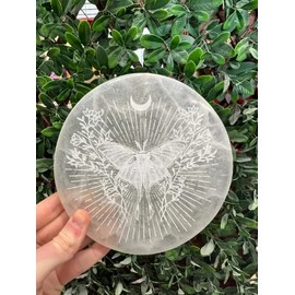 CrystalsAhoy 6" Etched Moth Selenite Charging Plate A1112