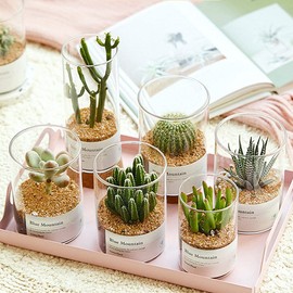 Avalution 2mm-4mm Coarse Sand Stone Plant Decorative Gravel Succulents, Cactus Bonsai Gravel, Terrarium Filling DIY Gardening Indoor & Outdoor Garden Bonsai Decoration-3LB