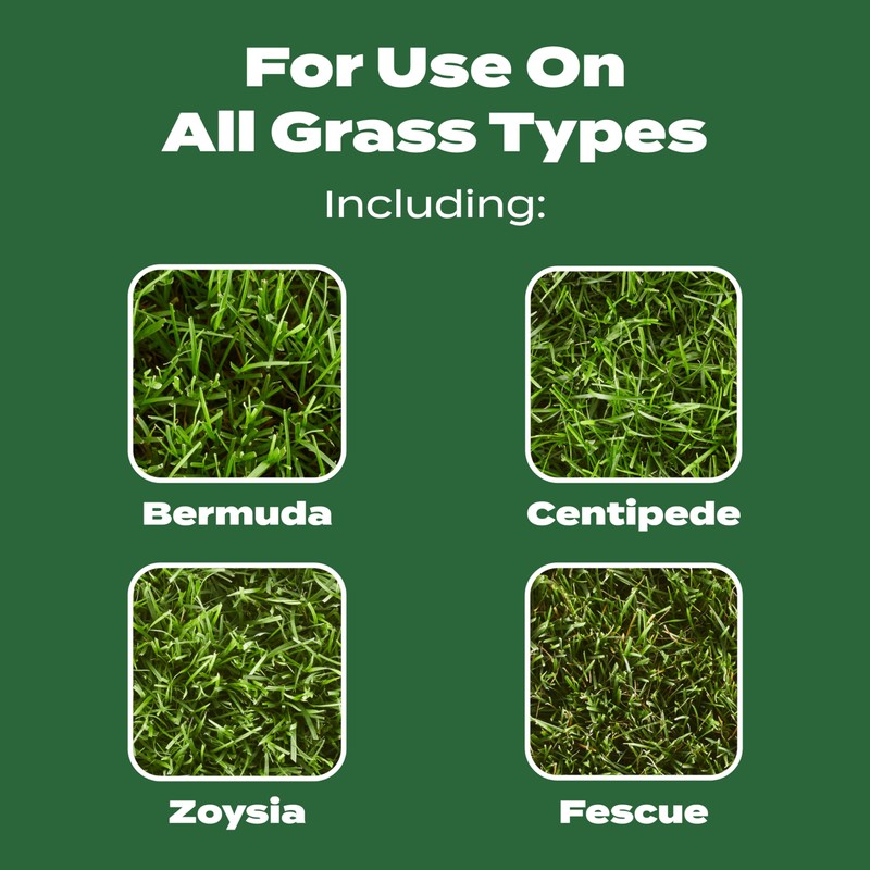 Scotts Turf Builder Lawn Food - Fertilizer for All Grass