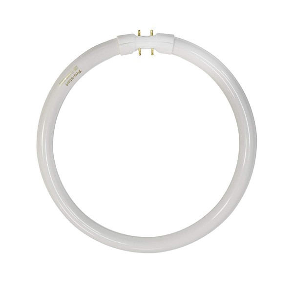 TL5C22W/840 Cool-White 4000K - Watts: 22W, Type: T5 Circular Fluorescent, Color