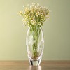 DIAMANTE Bud Vase 'Butterfly' - Small Hand Etched Crystal Vase