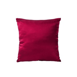 Tim & Tina 100% Pure Mulberry Luxury Silk Satin Pillowcase,Square Decorative Throw Pillow Case Cushion Cover (18" x 18", Red)