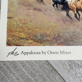 The Appaloosa Horse by Orren Mixer Postcard Blank Back 4.25 x 6 Nez Perce 1999