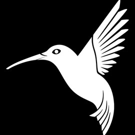 NBFU Hummingbirds Bird Fly Animal 3 (White) (Set Of 2) Premium Waterproof Vinyl Decal Stickers For Laptop Phone Accessory Helmet Car Window Bumper Mug Tuber Cup Door Wall Decoration