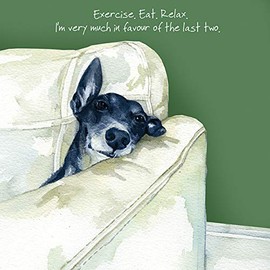 Greyhound Exercise, Eat, Relax Blank Greeting Card SQD126