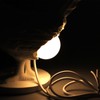 Chicken Egg Lamp DIY Painting Hen Laying Egg Lamp USB