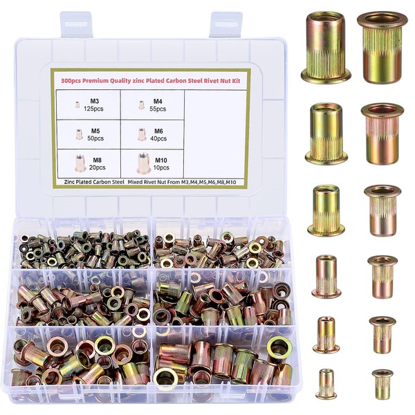 Set of 300 Rivet Nuts, Blind Rivet Nuts, Flat Head