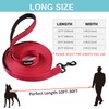 30FT Long Dog Leash with 2 Comfortable Soft Padded Handles