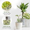 FANTIAN 10 lbs Jade Gravel Small Pebbles for Plants, 3/8