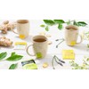Bigelow Tea Probiotic 3 Flavor Tea Variety Pack, Caffeinated and