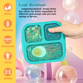 Reusable Snack Containers with Lids, 3 Compartments Bento Snack Boxes, 4 Pack Divided Lunchable Food Containers for Kids & Adults Bento Box for School, Work, Travel